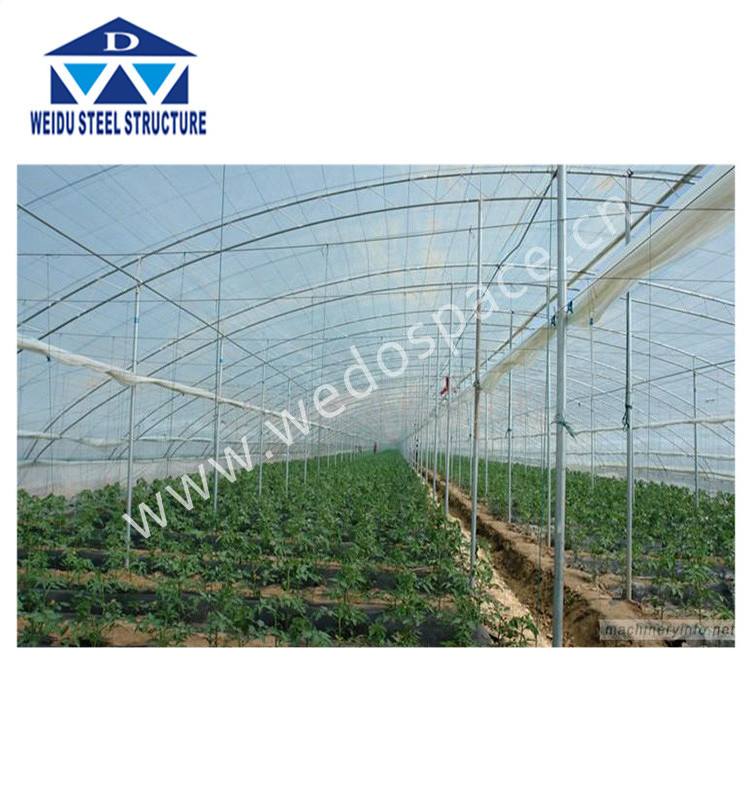 Used greenhouse sale tunnel greenhouse for sale galvanized steel frame greenhouse