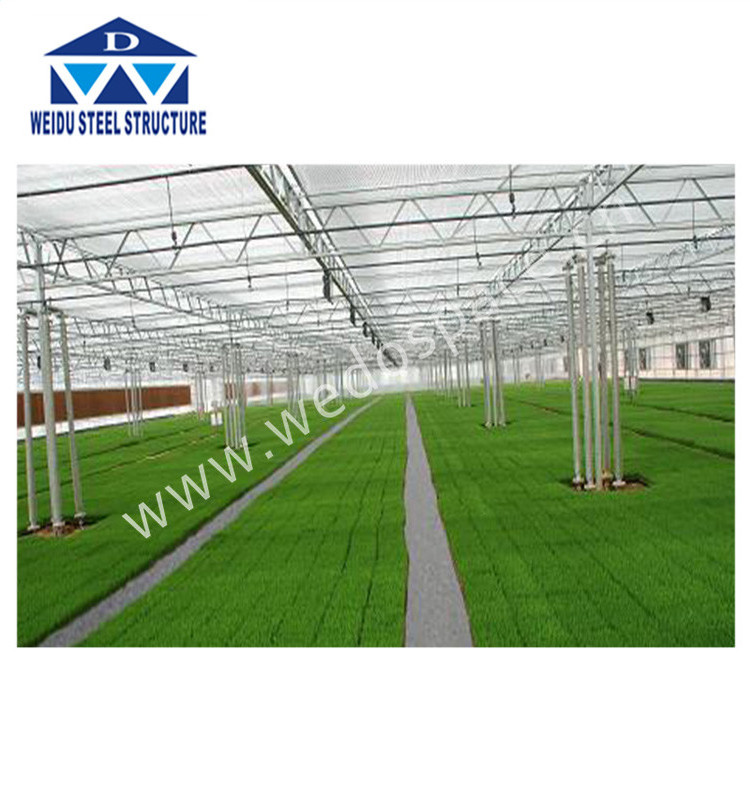 Used greenhouse sale tunnel greenhouse for sale galvanized steel frame greenhouse