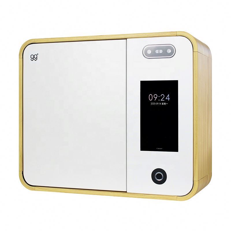 With Card Fingerprint And Face Authentication Safety Box Portable Lock Box Key Safe Car Keys Lock Box