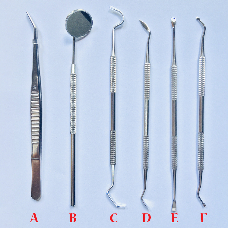 Disposable independent sterilization packaging stainless steel teeth exam cleaning dental tools mirror needle probe