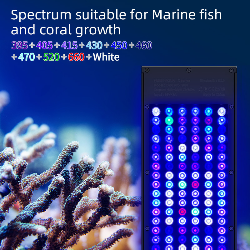 WEEKAQUA 120W Coral LED Saltwater Light APP Control Full Spectrum Marine Led Aquarium Lamp Reef Light Sea Wave Light