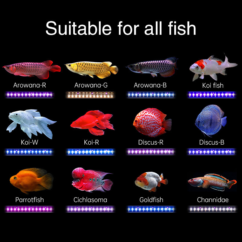 Hot Sale WEEK AQUA T12 TUBE tanning light smart LED aquarium lamp for koi arowana fish lights