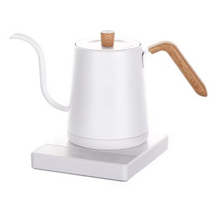 Green Tea Water Electric Gooesneck Kettles For Home Hotel Company Electric Tea Kettle And Mug Warmer