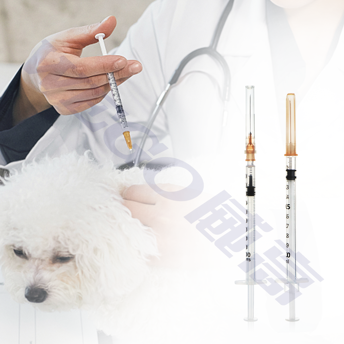 plastic syringe veterinary injection gun Feeding Bird Needle Gavage Veterinary Animal Parrot Curved Syringe