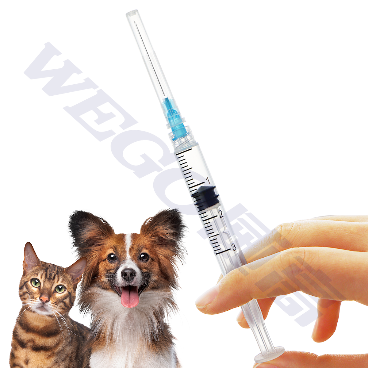 plastic syringe veterinary injection gun Feeding Bird Needle Gavage Veterinary Animal Parrot Curved Syringe