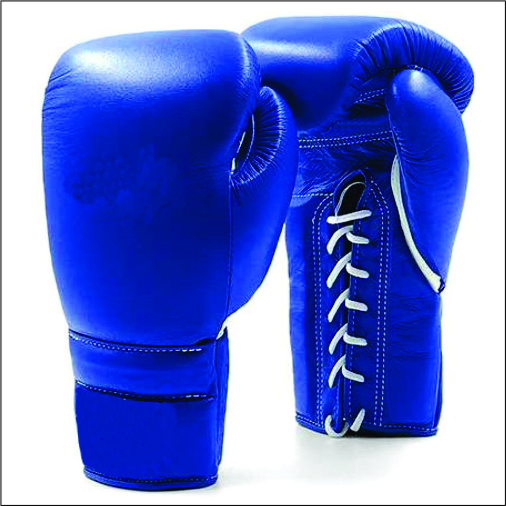 Factory Supplier Hot sale Cheap Price Boxing Gloves Whole Selling Punching Bag Low Price Best Quality Supplier