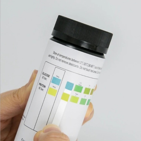 10 Parameters Urine Reagent Strip for Urinalysis Rapid Test