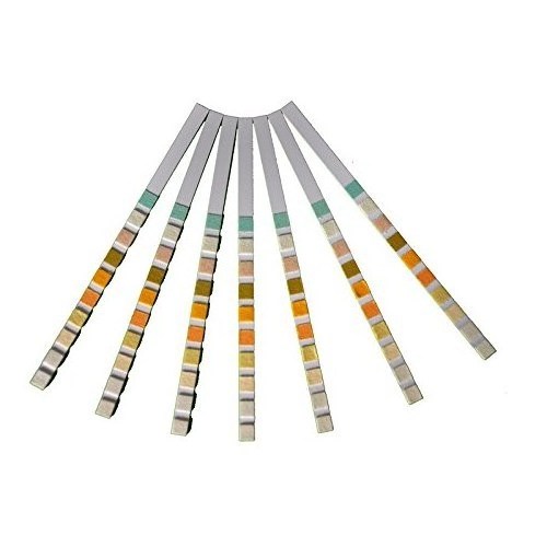 10 Parameters Urine Reagent Strip for Urinalysis Rapid Test