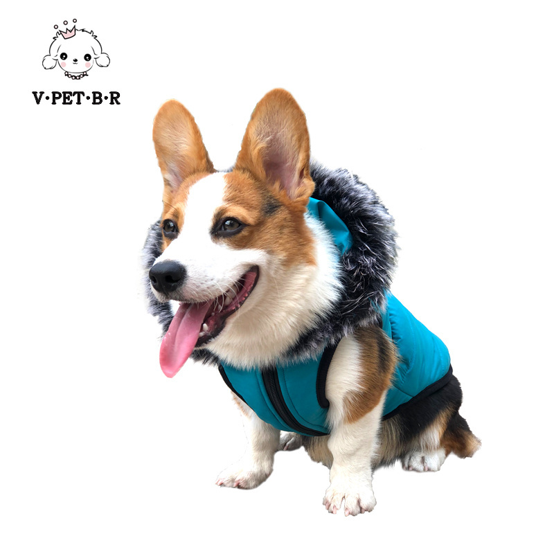 2023 New design pet jacket in winter with hoodie