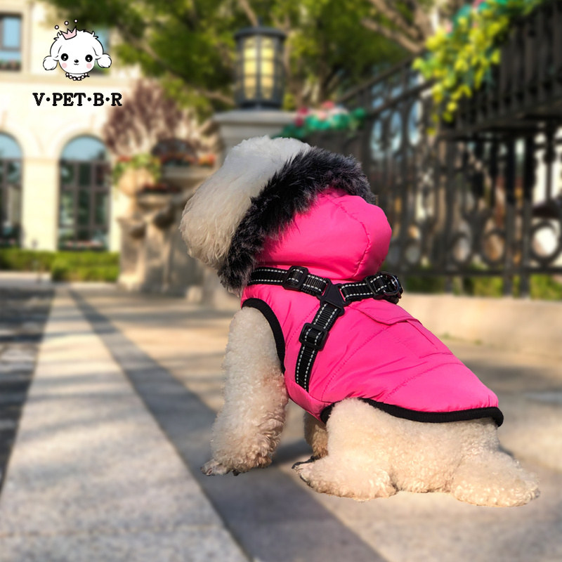 2023 New design pet jacket in winter with hoodie