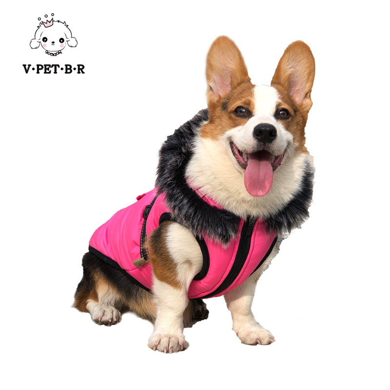 2023 New design pet jacket in winter with hoodie