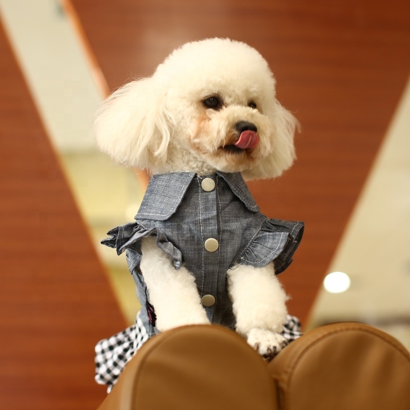 Fashion New Design Luxury Dress Denim Coats for Small Dog Clothing Pet Clothes