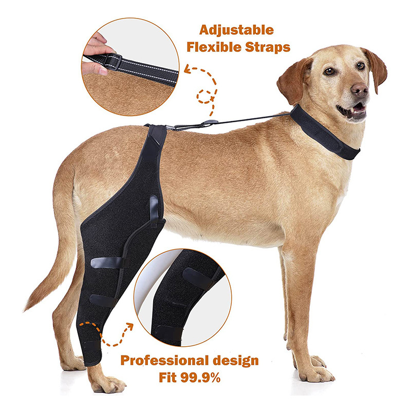 Luxury Dog Knee Brace ACL Support Recovery Neoprene Cat Knee Support Wrap Injury Protector Joint Pet Leg Knee Pad Sleeve