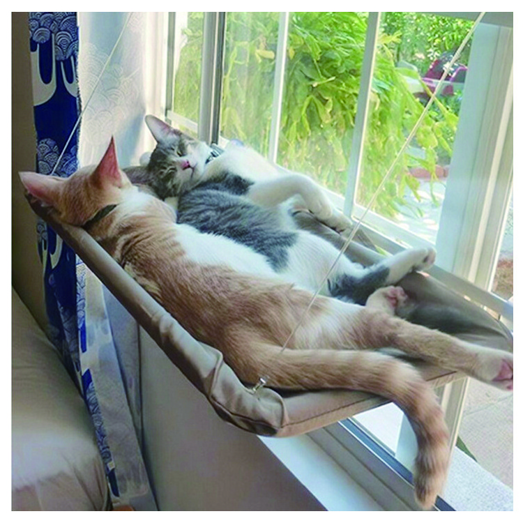 2021 New Design Hot Sale Cat Window Hammock