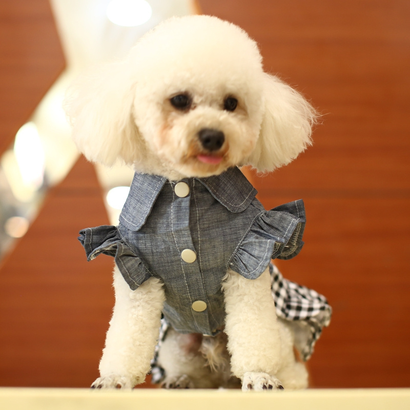 Fashion New Design Luxury Dress Denim Coats for Small Dog Clothing Pet Clothes