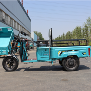 3 Wheels Cargo Motor Tricycle Right three-wheeled motorcycle  freestyle tricycle tricycle Cargo