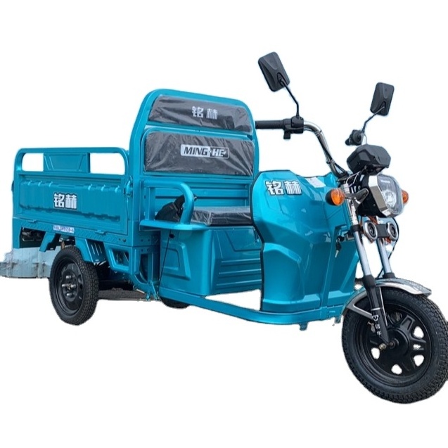 Cheap electric van 1000w Bicycle Heavy Duty Tricycle 3 wheeled electric tricycle