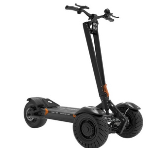 13 inch All Terrian Electric Scooters Three Wheels E Scooters 200km Range 55km/h High Speed Scooters