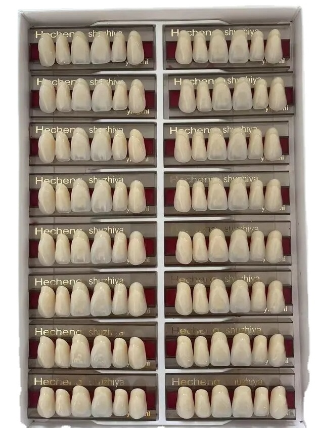 Artificial Acrylic Teeth/Dental False Composite Teeth/Synthetic Resin Teeth for Denture