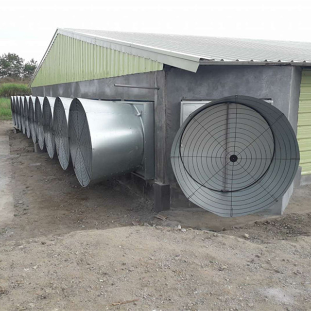 long life span poultry farm chicken house ventilation fan