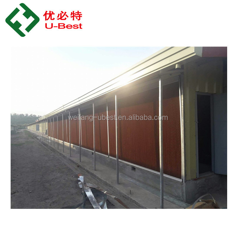 Modern Design Poultry Farm Full Automatic Chicken Breeding Equipment Broiler Machine