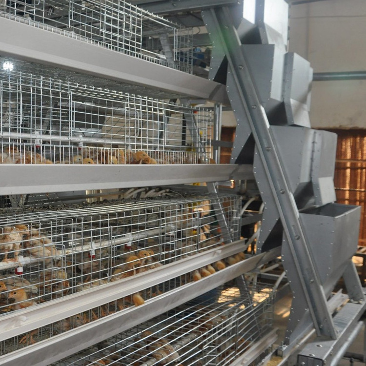 Factory sale Commercial broiler Chicken Cage and Chicken Farm Building Design Poultry House