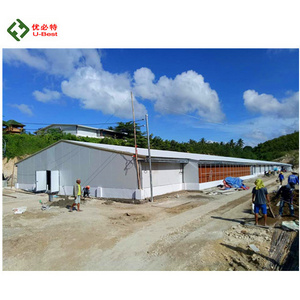 Ground floor broiler type automatic chicken farm raising equipment