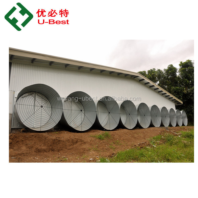 Modern Design Poultry Farm Full Automatic Chicken Breeding Equipment Broiler Machine