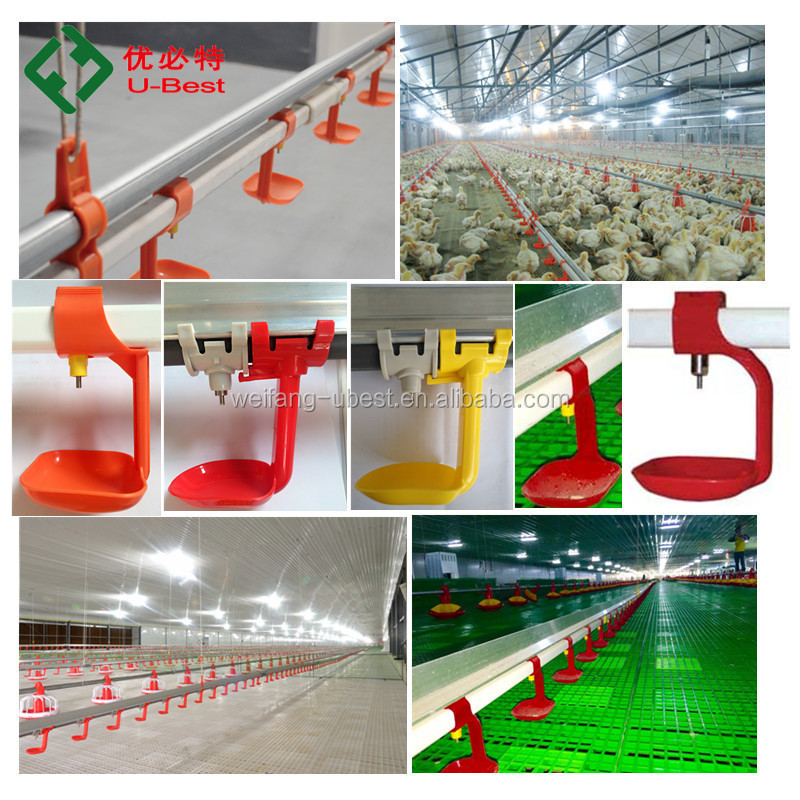 Modern Design Poultry Farm Full Automatic Chicken Breeding Equipment Broiler Machine