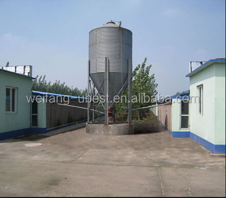 Ground floor broiler type automatic chicken farm raising equipment