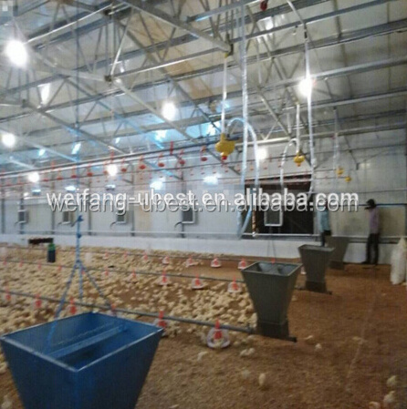 Ground floor broiler type automatic chicken farm raising equipment