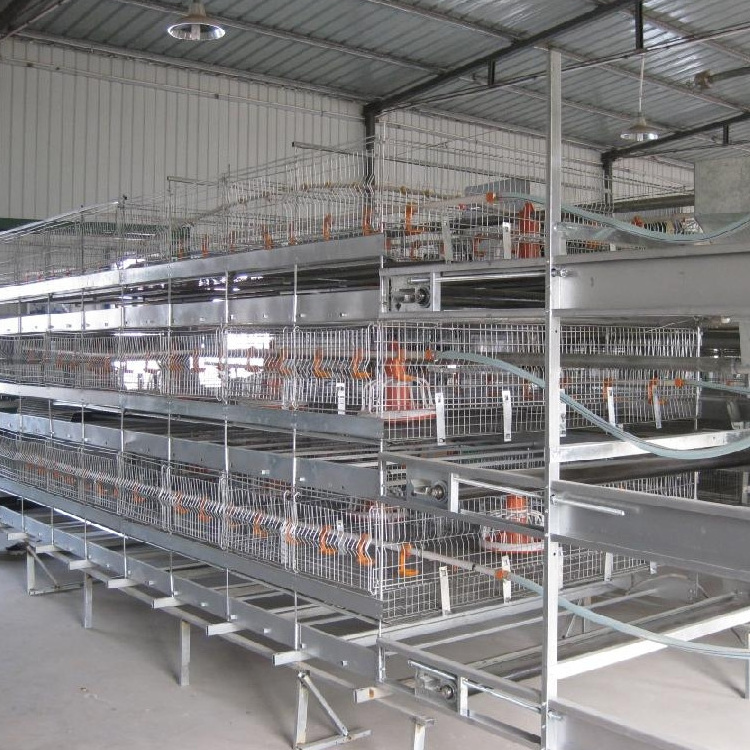 Factory sale Commercial broiler Chicken Cage and Chicken Farm Building Design Poultry House