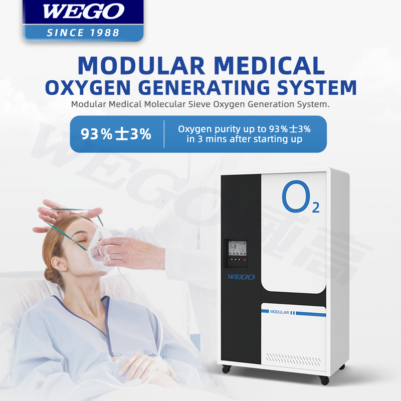 WEGO hospital oxygen plant Medical Grade psa oxygen generation plant for hospital