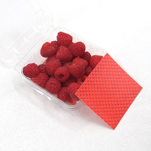 Sheet shaped berry fruit absorbent pad high absorption rate for fresh vegetables fruits supermarkets food packaging soaker pa