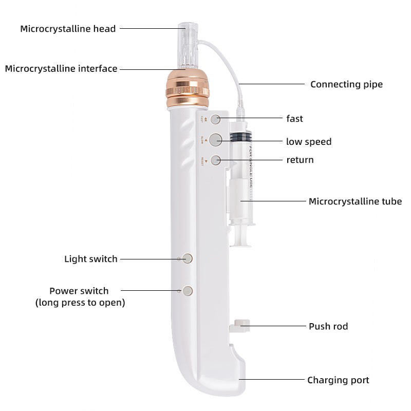 High Quality 2 in 1 Injection Mesogun Mesotherapy Gun Nano Needles Skin Pen For Face Home Use