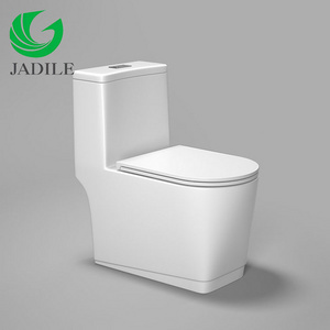 Low Prices S-Trap 305mm Roughing Floor Mounted Toilet Seat Siphon Jet Flushing White Toilet