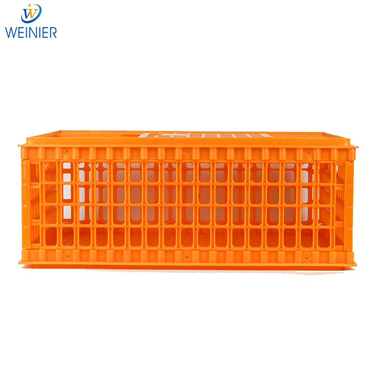 75*55*19cm Transport cage Chicken Farm Equipment Used Poultry Crates plastic transport cage