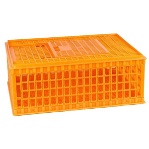 75*55*19cm Transport cage Chicken Farm Equipment Used Poultry Crates plastic transport cage