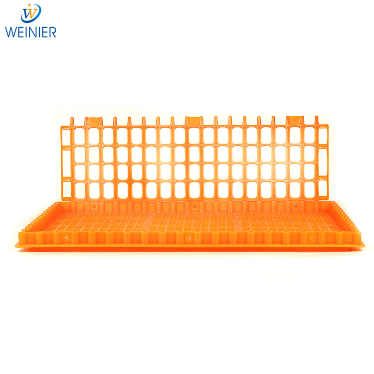 75*55*19cm Transport cage Chicken Farm Equipment Used Poultry Crates plastic transport cage