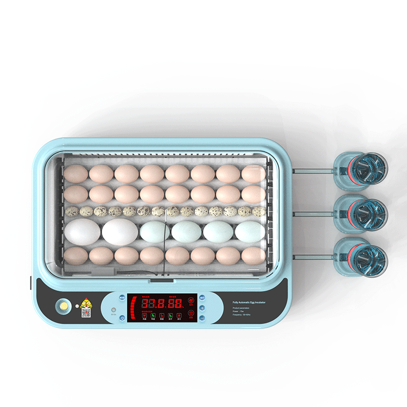 Poultry eggs incubator 64 chicken eggs hatching machine fully automatic