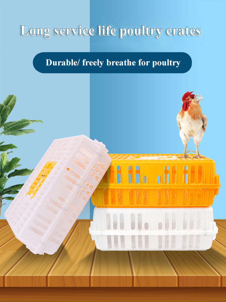 Poultry plastic chicken chick broiler layer duck pigeon dove transport cage crate case box