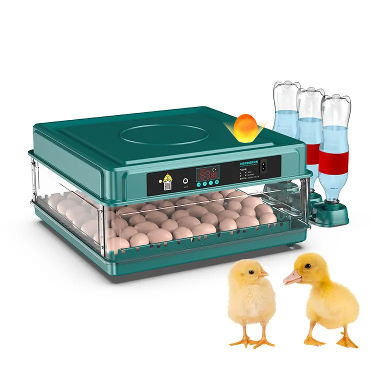 Poultry farm egg incubators hatcher 70(72) eggs capacity 98% high hatching rate chick egg hatching machine