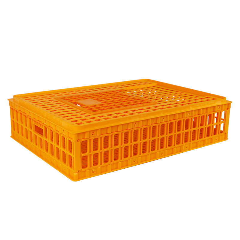 75*55*19cm  Live poultry pigeon transport crates pigeon capacity 25~30pcs plastic cage