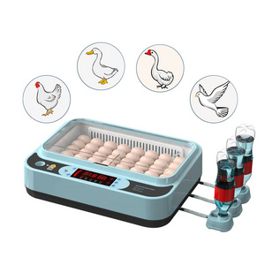 Poultry eggs incubator 64 chicken eggs hatching machine fully automatic