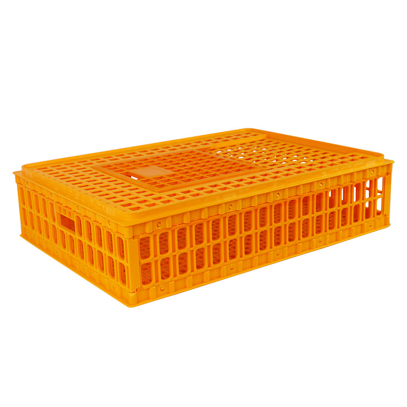 75*55*19cm  Live poultry pigeon transport crates pigeon capacity 25~30pcs plastic cage