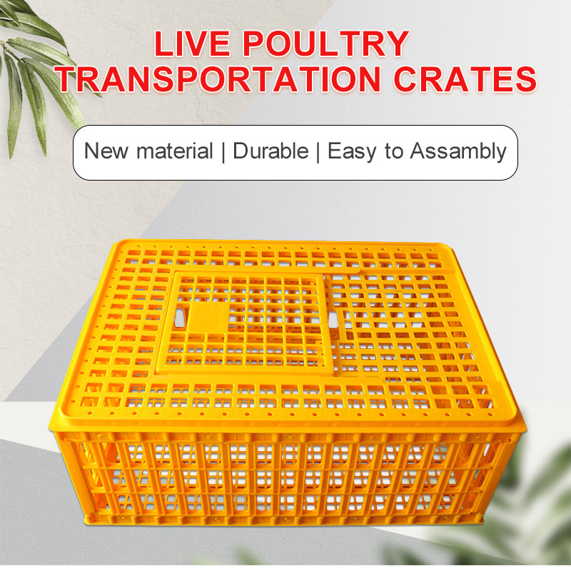 75*55*27cm Poultry Carrier Crate Plastic PE Chicken Transport Cage Transport Bird Cages