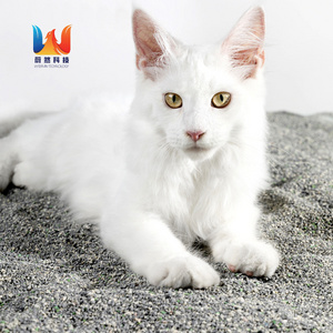 Premium Cat Litter Super Clumping Sodium Bentonite Sand Premium Cat Bentonite Supplier