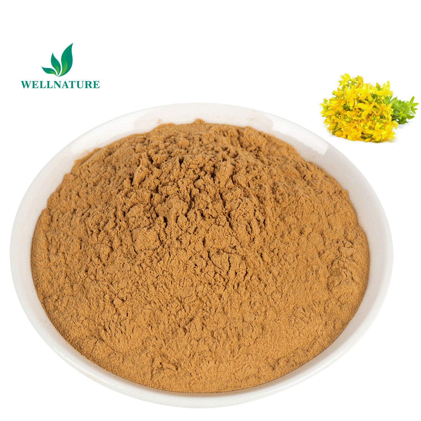 High Quality Hypericum Plant Extract Hypericin Hypericum Perforatum Extract