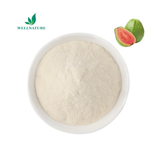 Guava Drink Powder Water Soluble Guava Fruit Juice Powder Extract