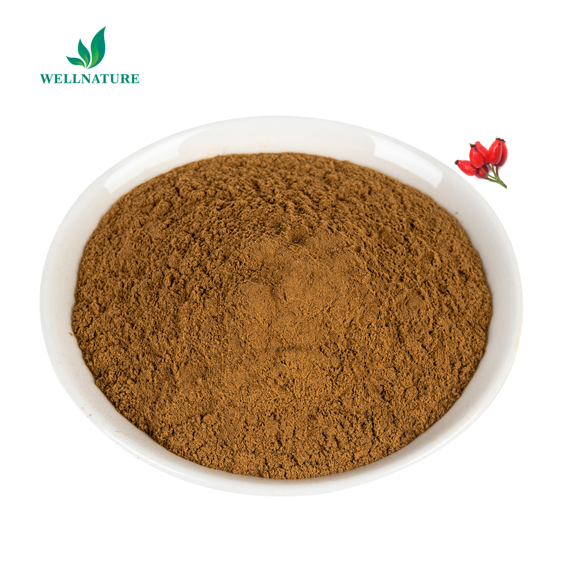 Wellnature Organic Rosehip Fruit Extract 25% VC Rose Hip Extract Rosehip Powder